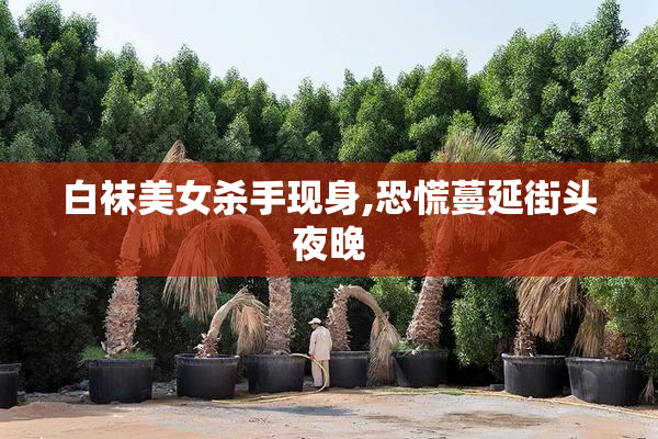 白袜美女杀手现身,恐慌蔓延街头夜晚