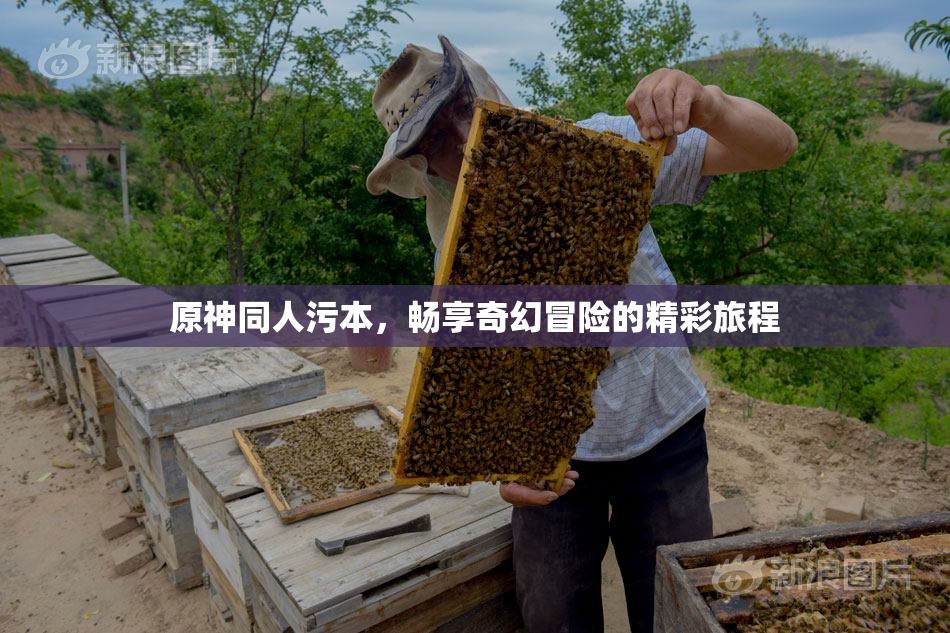 原神同人污本，畅享奇幻冒险的精彩旅程