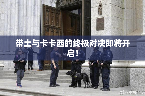 带土与卡卡西的终极对决即将开启！