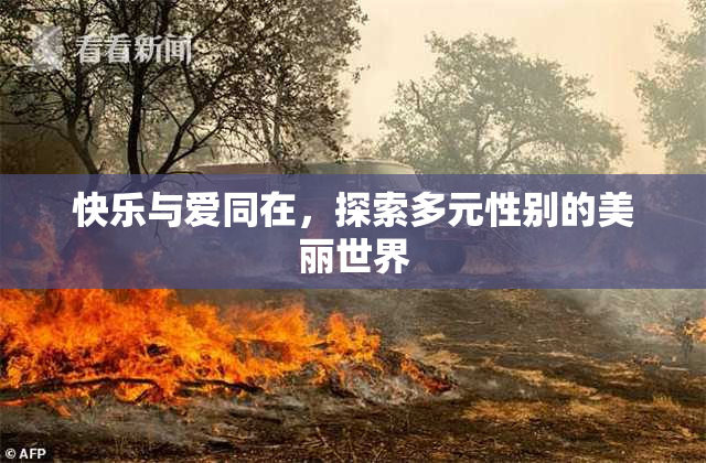 快乐与爱同在，探索多元性别的美丽世界