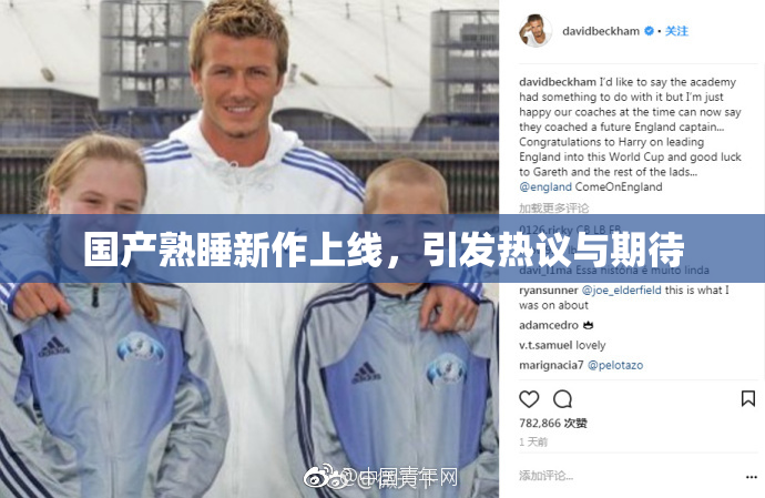 国产熟睡新作上线，引发热议与期待