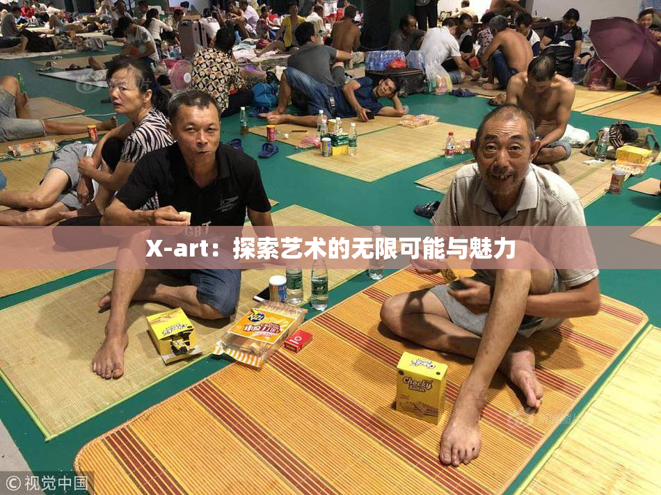X-art：探索艺术的无限可能与魅力