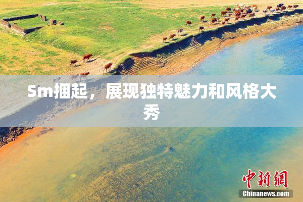 Sm捆起，展现独特魅力和风格大秀