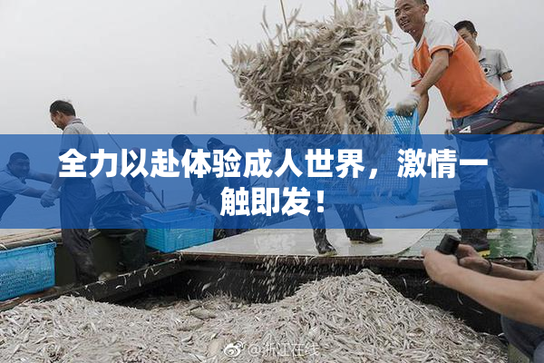 全力以赴体验成人世界，激情一触即发！