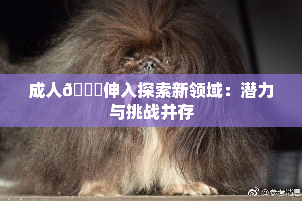 成人🍆伸入探索新领域：潜力与挑战并存