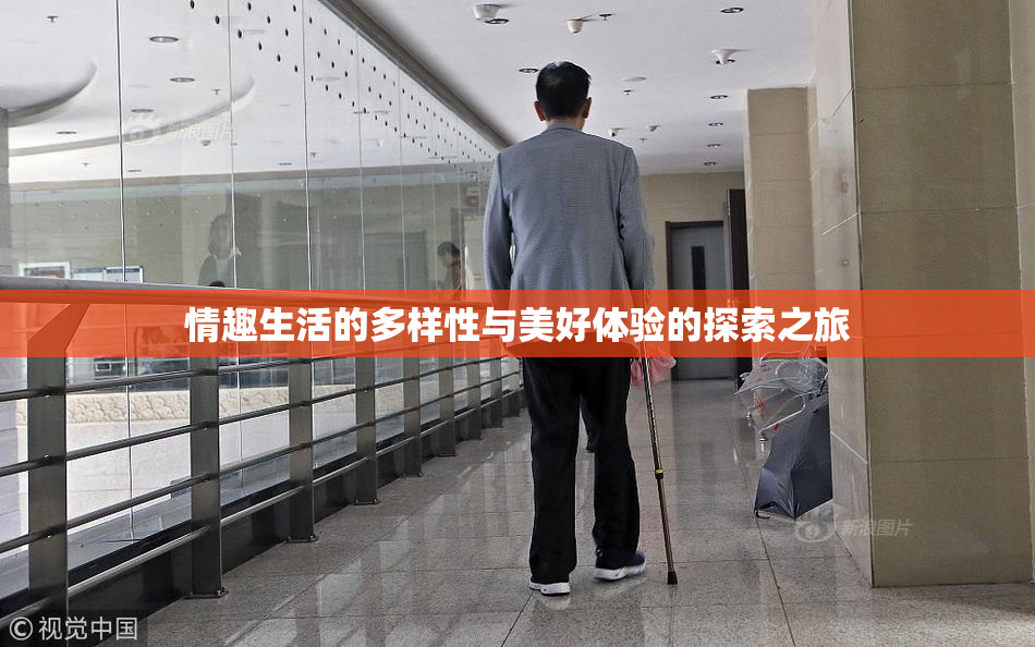 情趣生活的多样性与美好体验的探索之旅