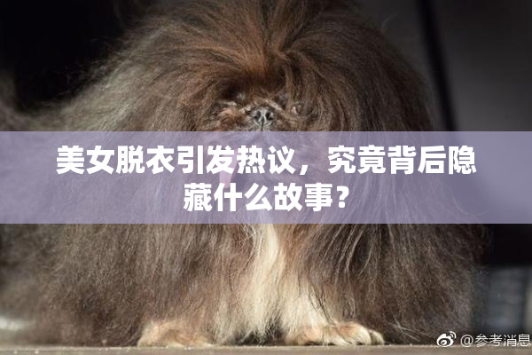 美女脱衣引发热议，究竟背后隐藏什么故事？