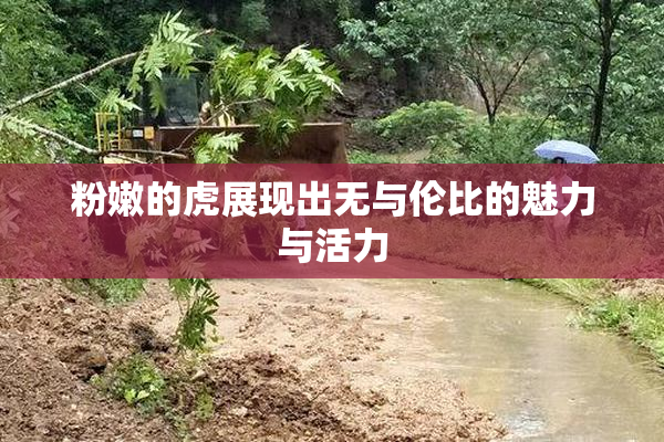 粉嫩的虎展现出无与伦比的魅力与活力