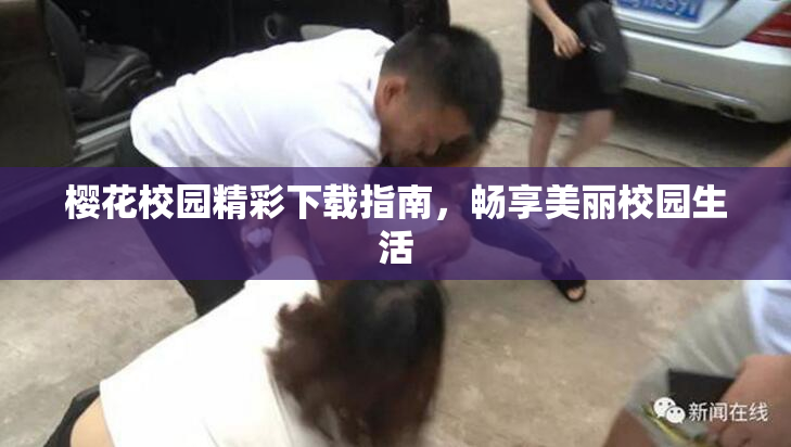 樱花校园精彩下载指南，畅享美丽校园生活