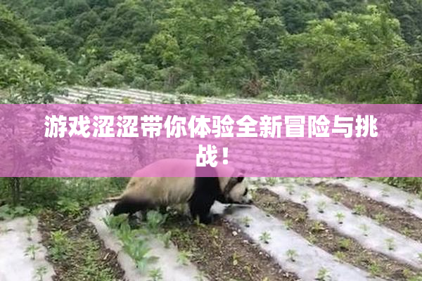 游戏涩涩带你体验全新冒险与挑战！