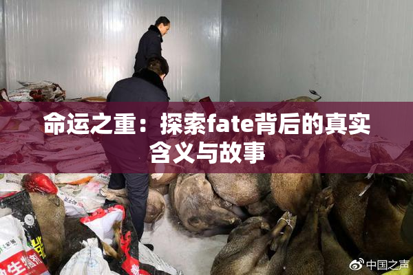 命运之重：探索fate背后的真实含义与故事