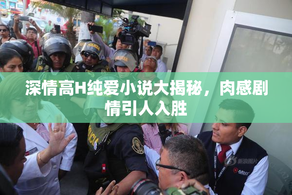 深情高H纯爱小说大揭秘，肉感剧情引人入胜