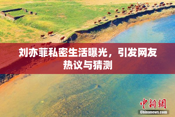 刘亦菲私密生活曝光，引发网友热议与猜测
