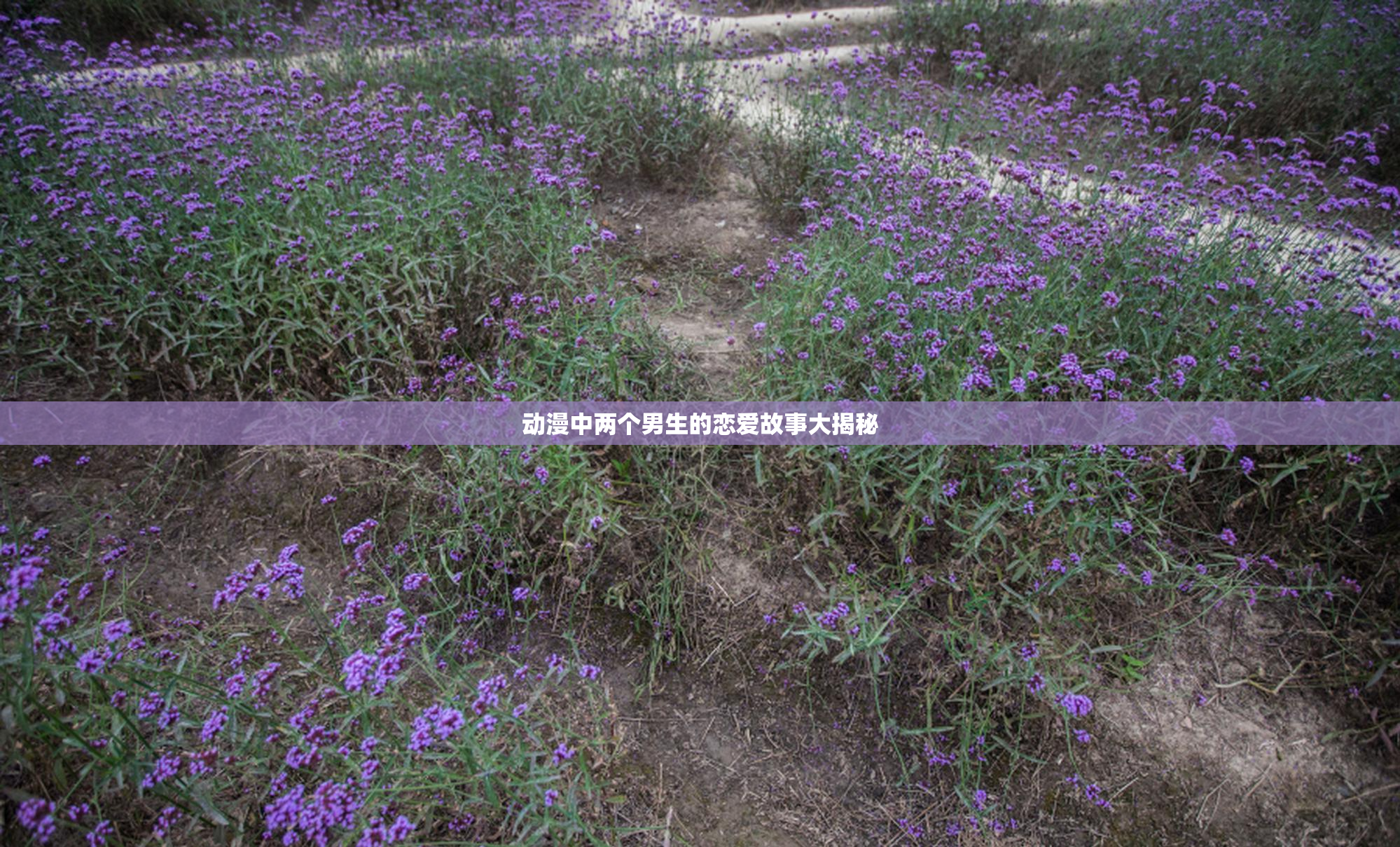 动漫中两个男生的恋爱故事大揭秘