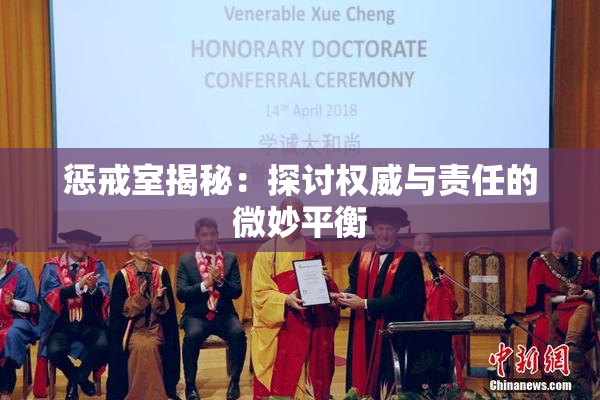 惩戒室揭秘：探讨权威与责任的微妙平衡