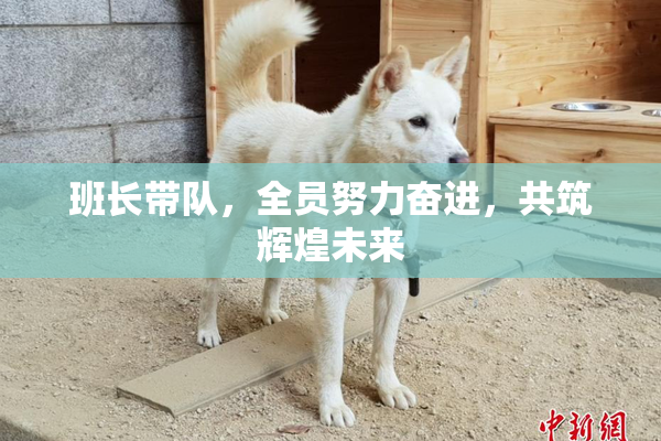 班长带队，全员努力奋进，共筑辉煌未来
