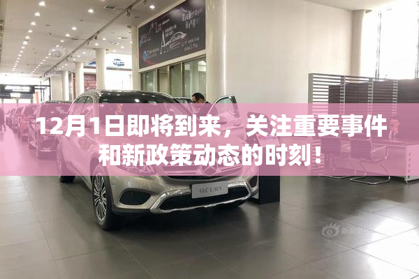 12月1日即将到来，关注重要事件和新政策动态的时刻！