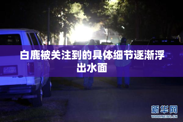 白鹿被关注到的具体细节逐渐浮出水面