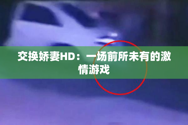 交换娇妻HD：一场前所未有的激情游戏