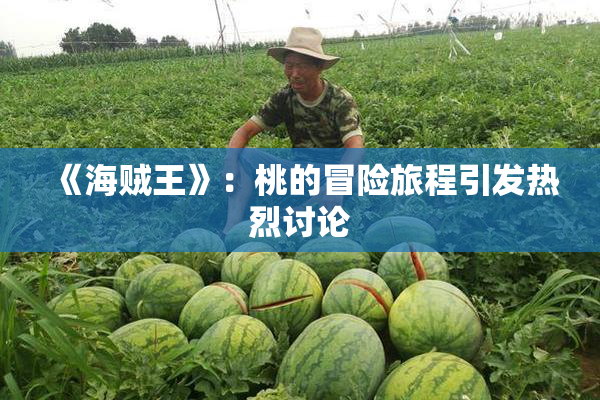 《海贼王》：桃的冒险旅程引发热烈讨论