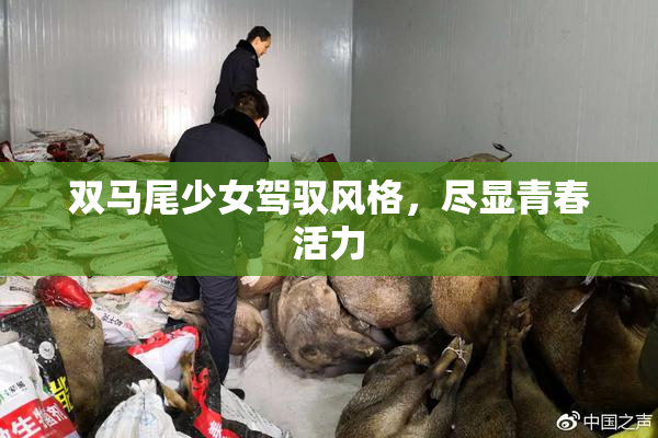 双马尾少女驾驭风格，尽显青春活力