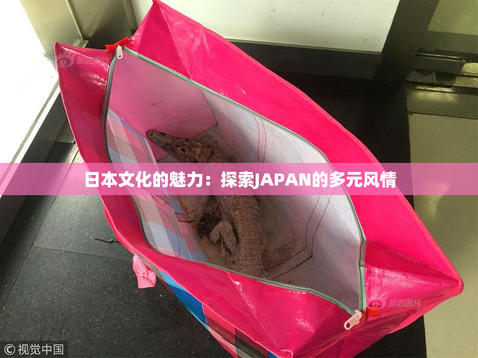 日本文化的魅力：探索JAPAN的多元风情