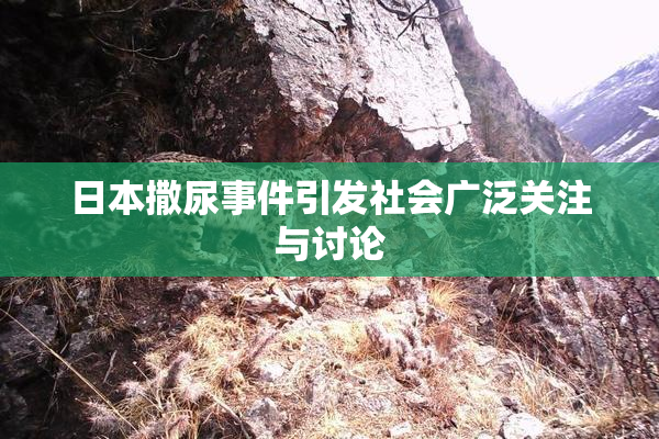 日本撒尿事件引发社会广泛关注与讨论