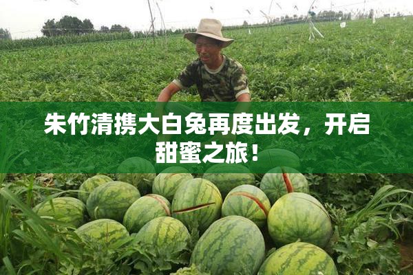 朱竹清携大白兔再度出发，开启甜蜜之旅！