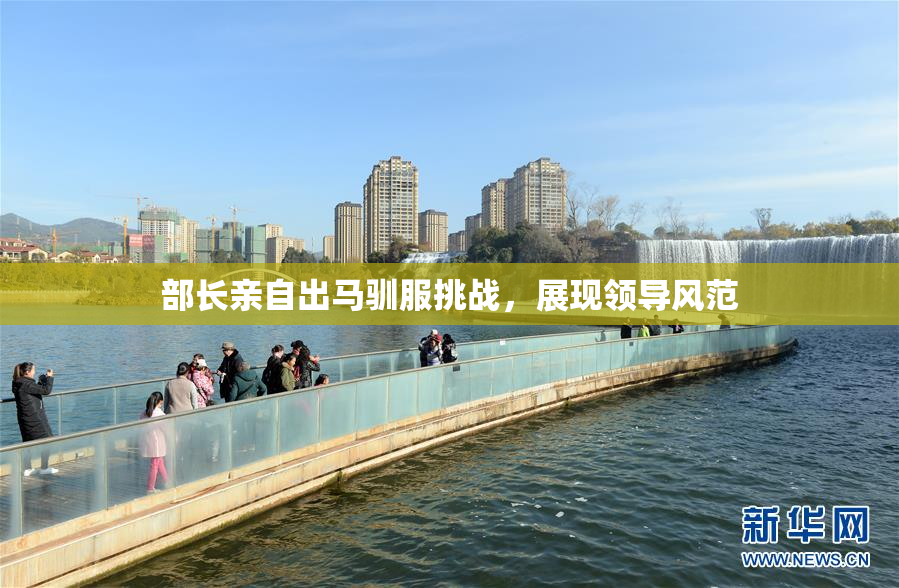 部长亲自出马驯服挑战，展现领导风范