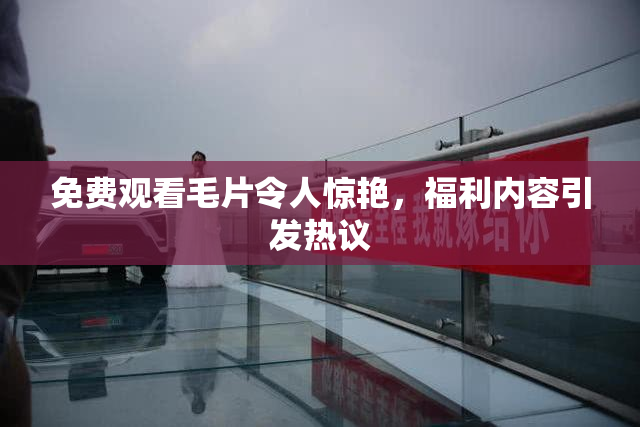 免费观看毛片令人惊艳，福利内容引发热议