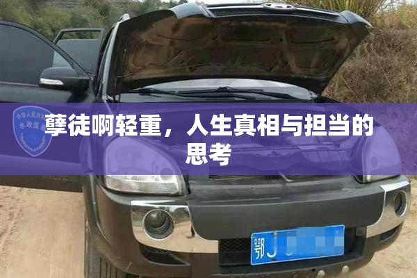 孽徒啊轻重，人生真相与担当的思考