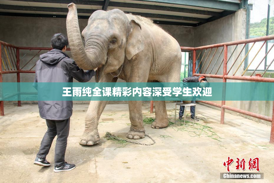 王雨纯全课精彩内容深受学生欢迎