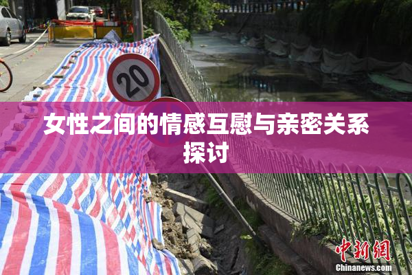 女性之间的情感互慰与亲密关系探讨