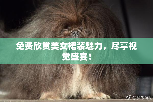免费欣赏美女裙装魅力，尽享视觉盛宴！