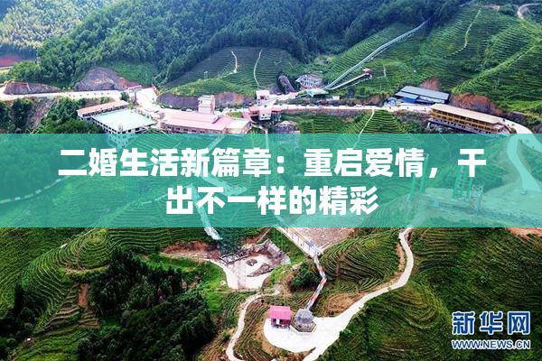 二婚生活新篇章：重启爱情，干出不一样的精彩