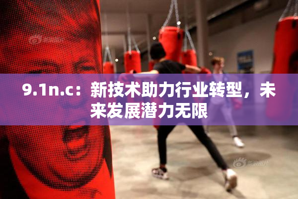 9.1n.c：新技术助力行业转型，未来发展潜力无限