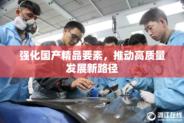 强化国产精品要素，推动高质量发展新路径