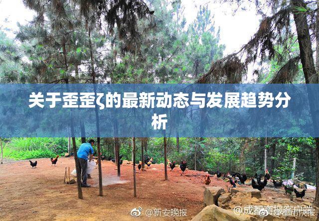 关于歪歪ζ的最新动态与发展趋势分析