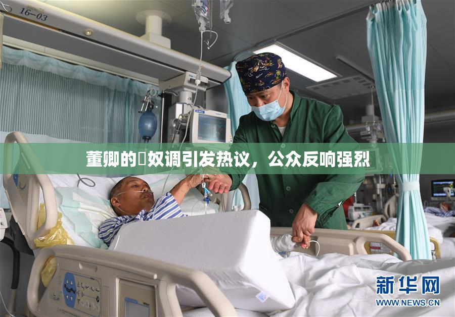董卿的婬奴调引发热议，公众反响强烈