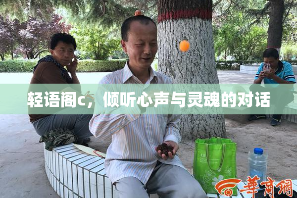 轻语阁c，倾听心声与灵魂的对话