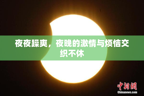 夜夜躁爽，夜晚的激情与烦恼交织不休