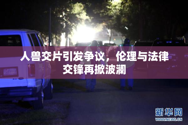 人兽交片引发争议，伦理与法律交锋再掀波澜