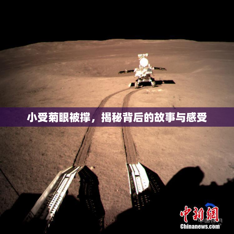 小受菊眼被撑，揭秘背后的故事与感受