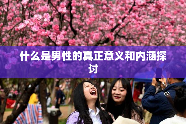 什么是男性的真正意义和内涵探讨