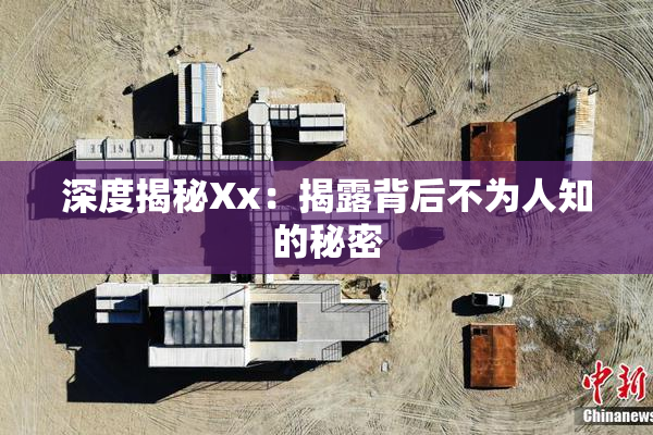 深度揭秘Xx：揭露背后不为人知的秘密