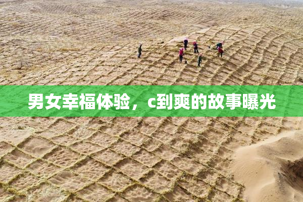 男女幸福体验，c到爽的故事曝光