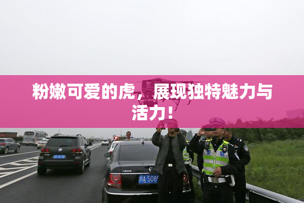 粉嫩可爱的虎，展现独特魅力与活力！