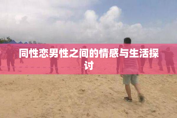 同性恋男性之间的情感与生活探讨