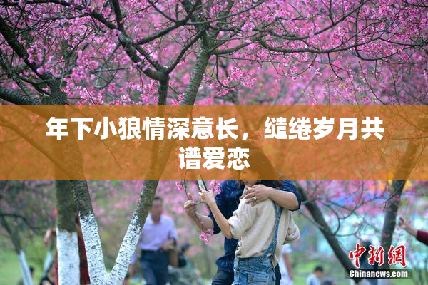 年下小狼情深意长，缱绻岁月共谱爱恋
