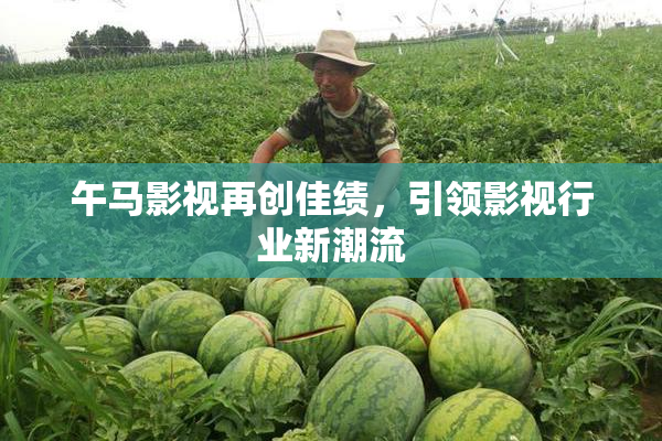 午马影视再创佳绩，引领影视行业新潮流